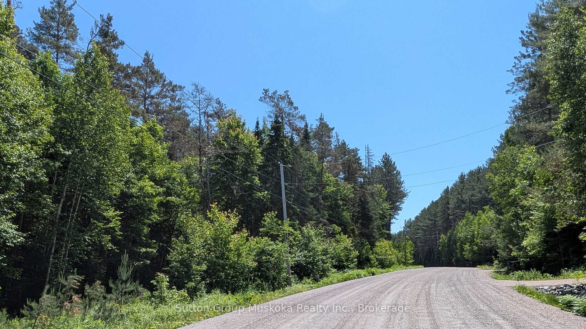 Front of Lot 1 Red Pine Trail