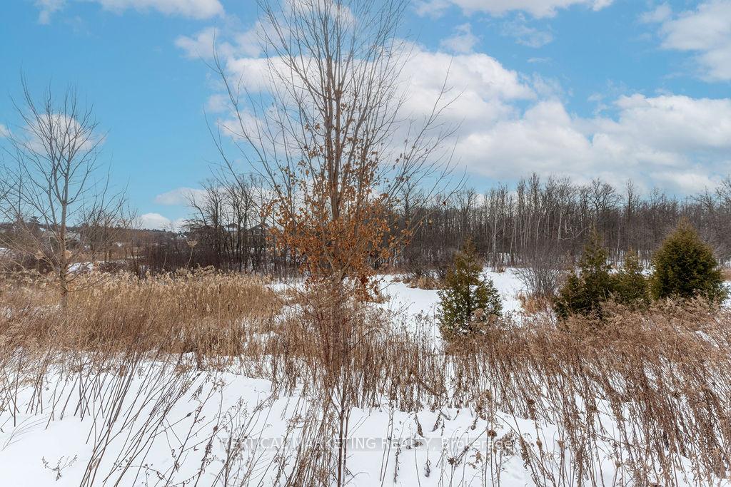 Photo 38 of 105 Roy Harper Avenue, Aurora, Rural Aurora — HOMEH