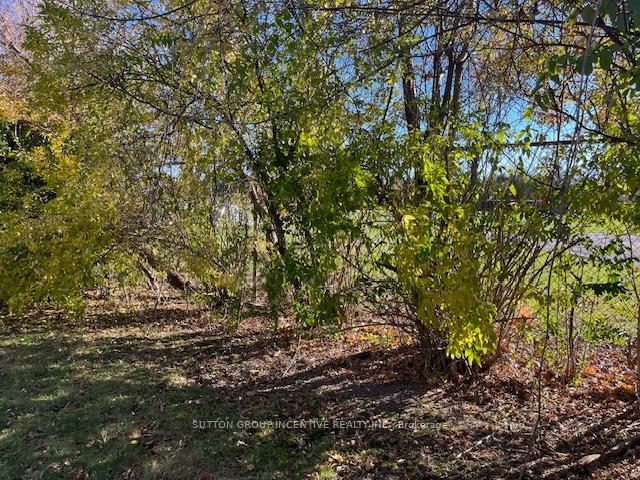 Photo 28 of 75 Kawartha Avenue, Oshawa, Lakeview — HOMEH