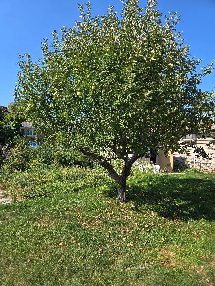 Photo 15 of 139 Nugent Drive, Hamilton, Kentley — HOMEH