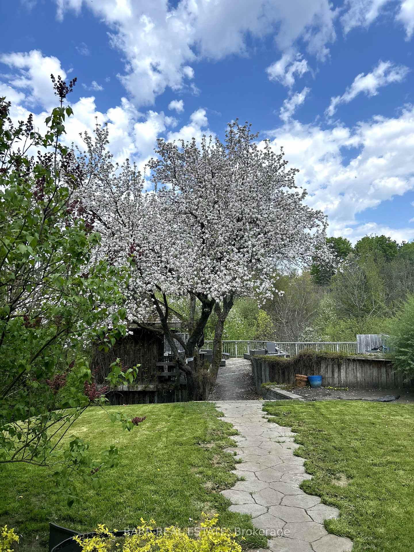 Photo 38 of 52 Columbia Road, Barrie, Holly — HOMEH