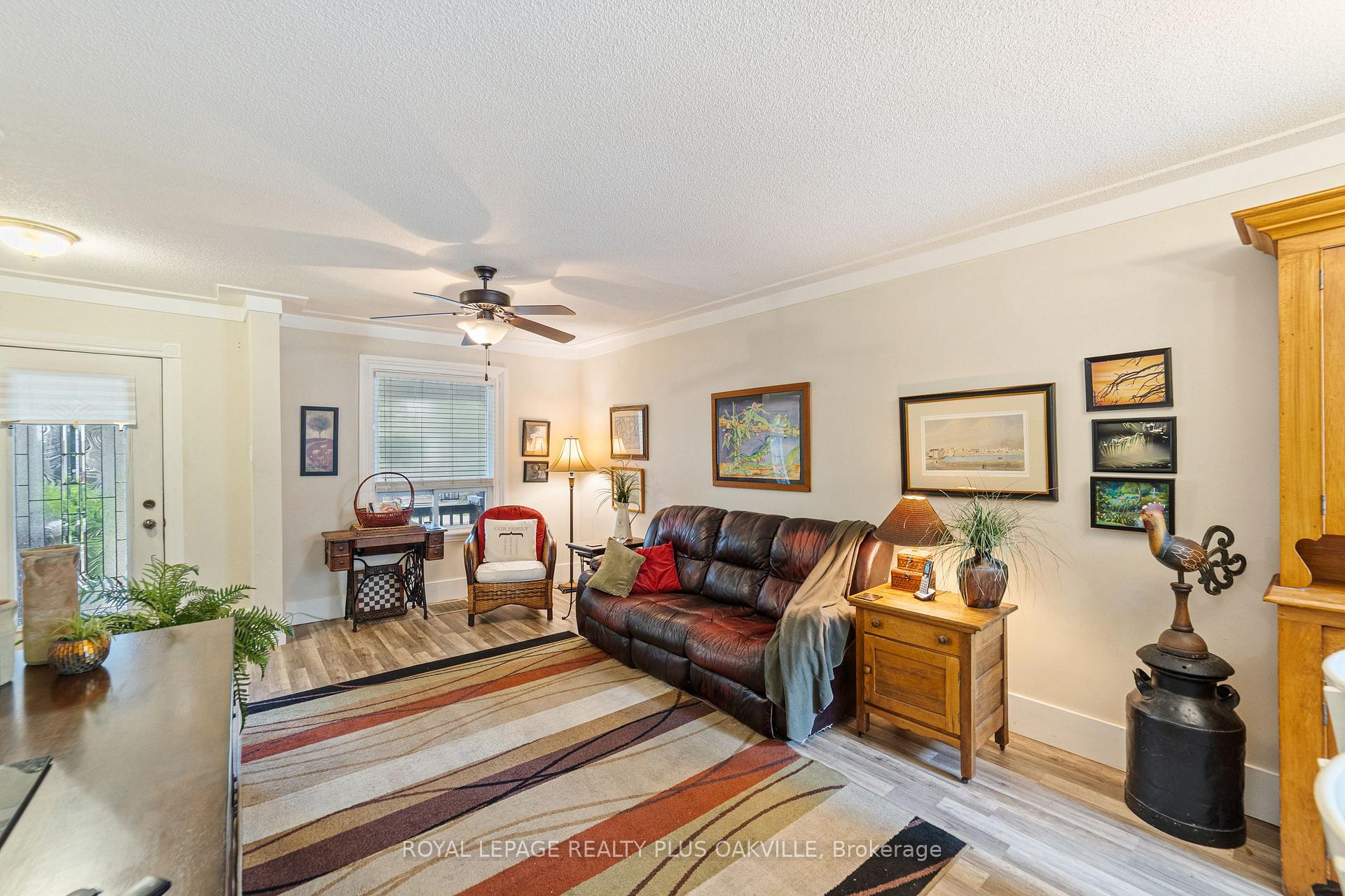Photo 6 of 100 Case Street, Hamilton, Stripley — HOMEH