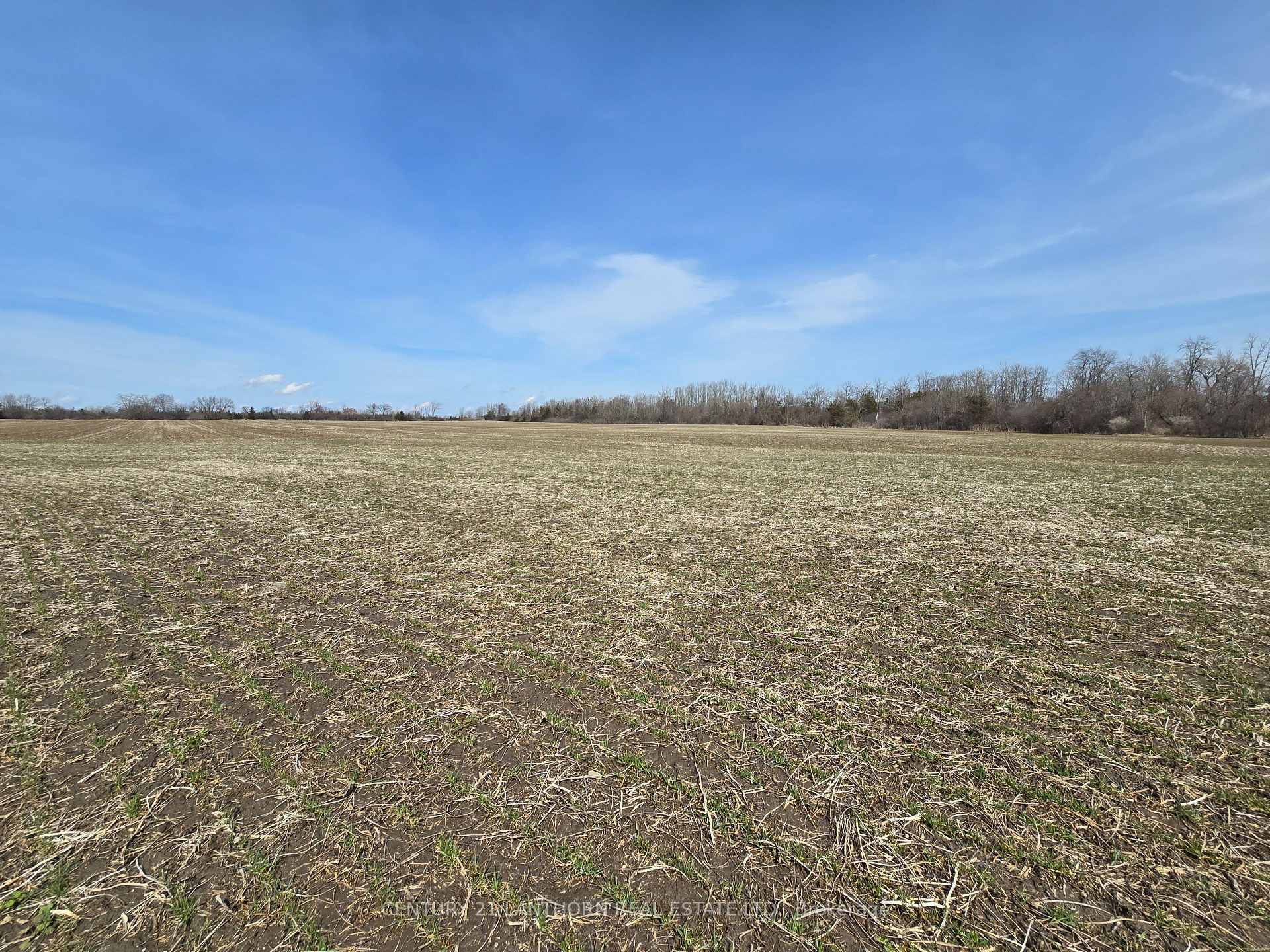 Photo 34 of 689 Airport Parkway, Belleville, Belleville Ward — HOMEH
