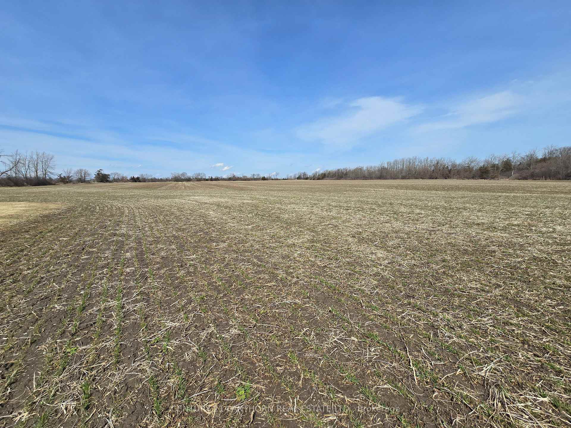 Photo 37 of 689 Airport Parkway, Belleville, Belleville Ward — HOMEH