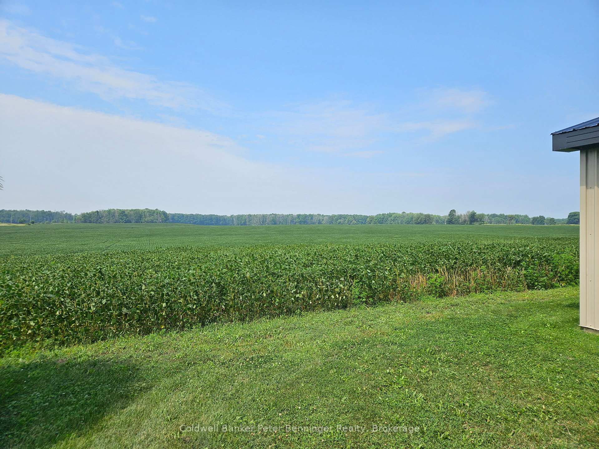 Photo 27 of 302 Concession 2 Ndr, Brockton — HOMEH