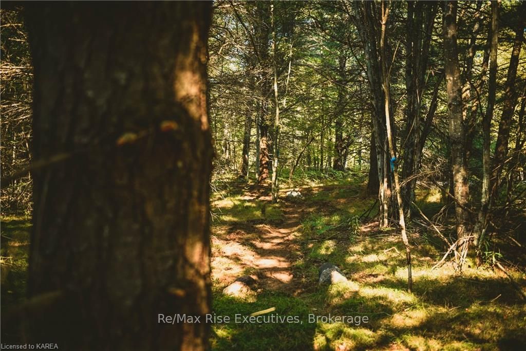 Photo 16 of PT LT 6 Frontenac Road, Frontenac, Frontenac Centre — HOMEH