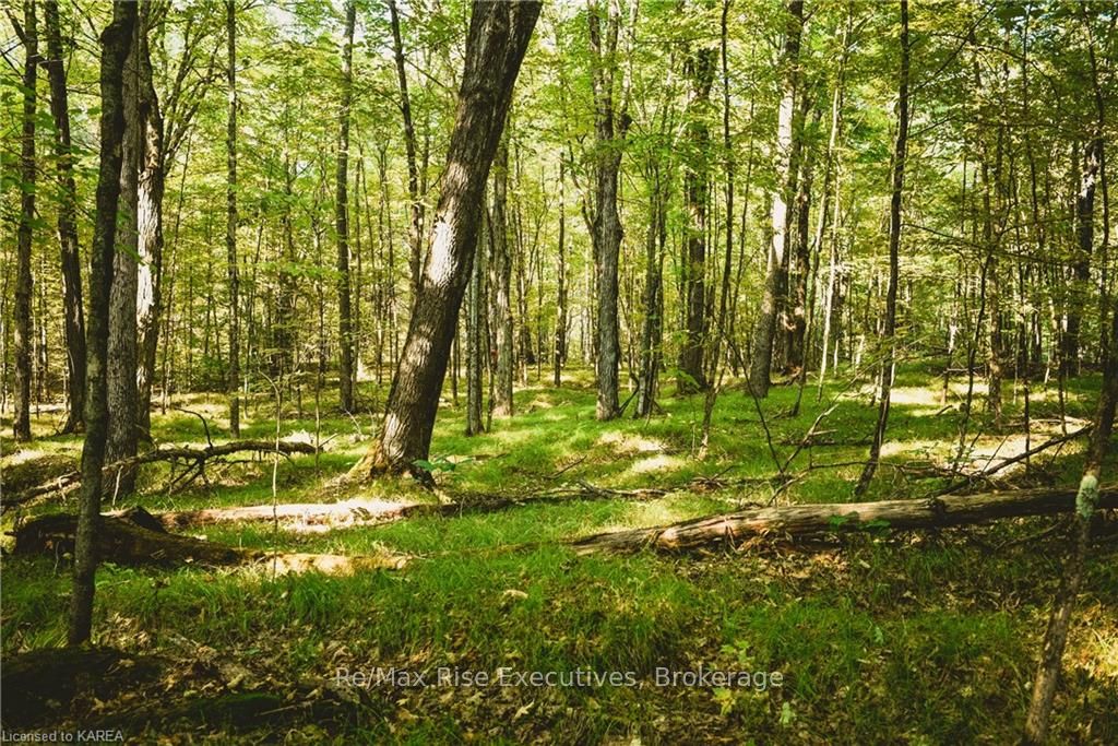 Photo 17 of PT LT 6 Frontenac Road, Frontenac, Frontenac Centre — HOMEH