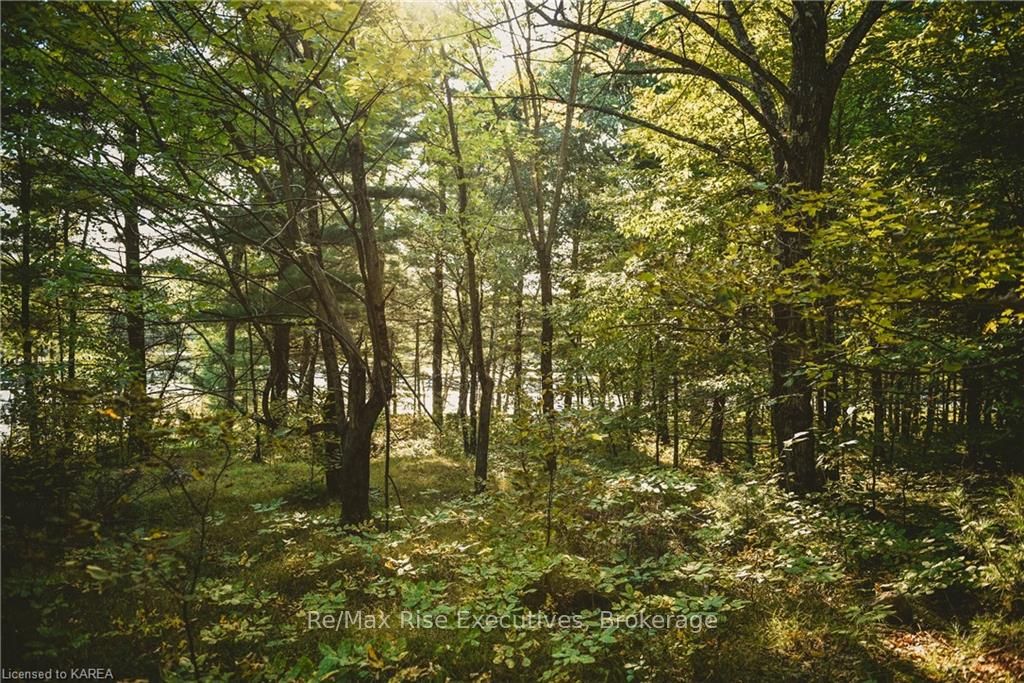 Photo 24 of PT LT 6 Frontenac Road, Frontenac, Frontenac Centre — HOMEH