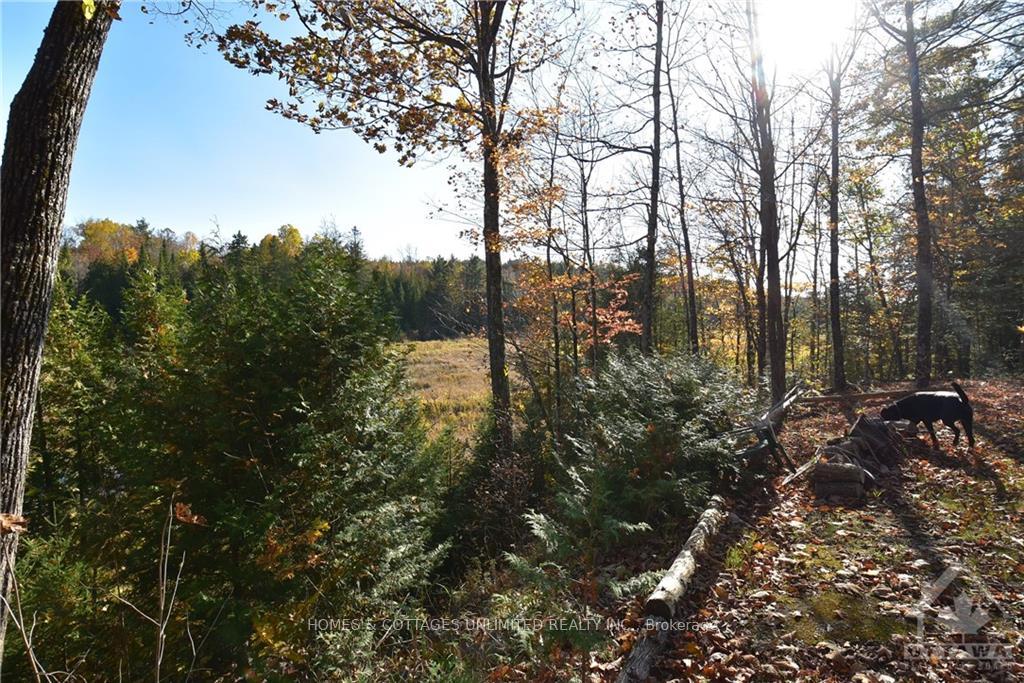 Photo 6 of 1209 South Road, Frontenac, Frontenac North — HOMEH