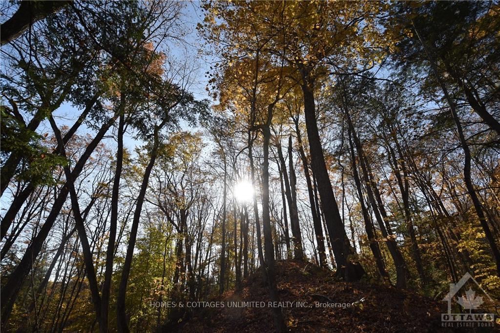 Photo 14 of 1209 South Road, Frontenac, Frontenac North — HOMEH