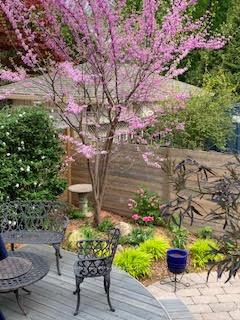 Photo 37 of 511 Martha Street, Burlington, Brant — HOMEH