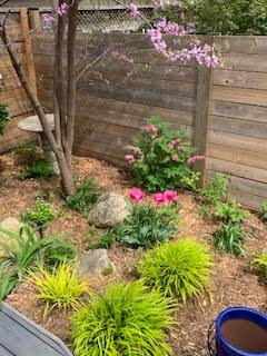 Photo 38 of 511 Martha Street, Burlington, Brant — HOMEH