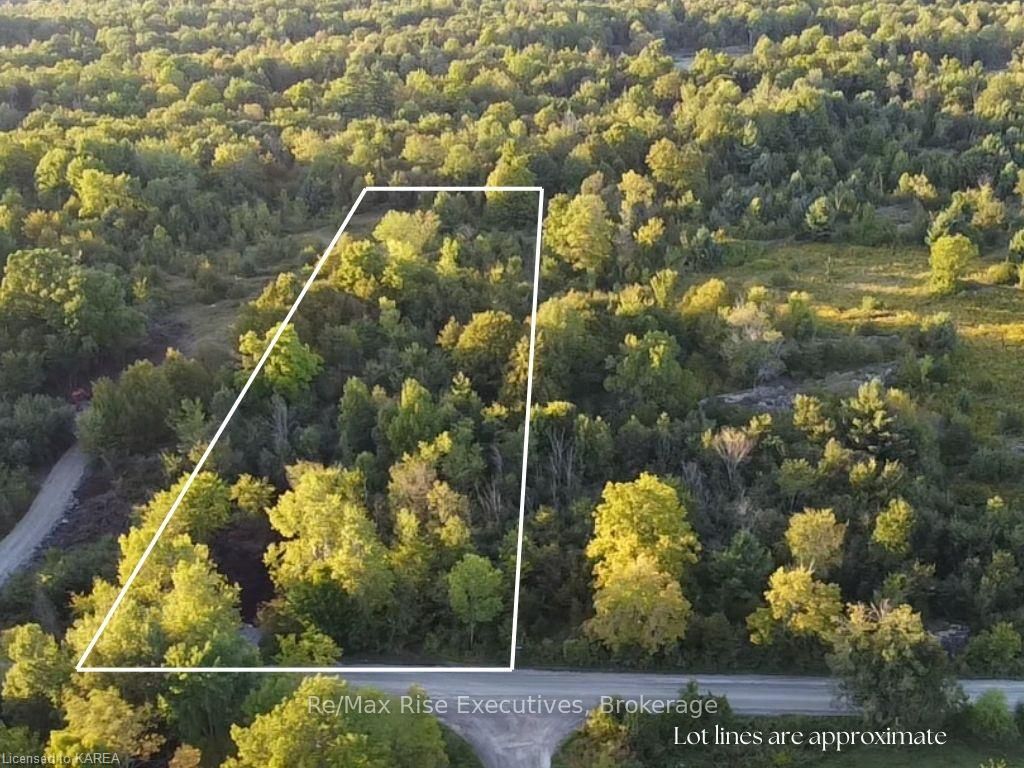 Front of 85 White Lake Road