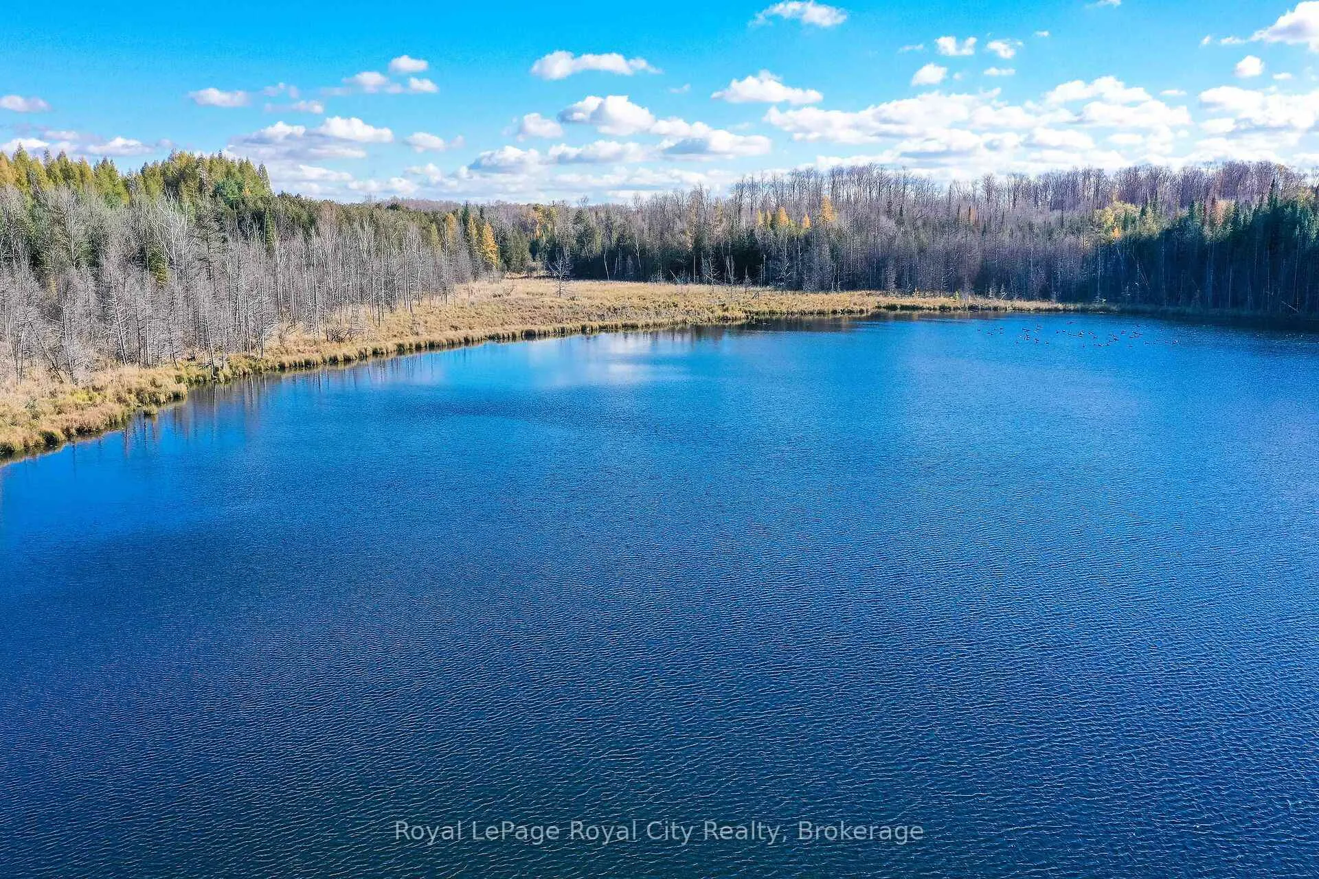 Photo 13 of 6361 16th Line, Minto — HOMEH