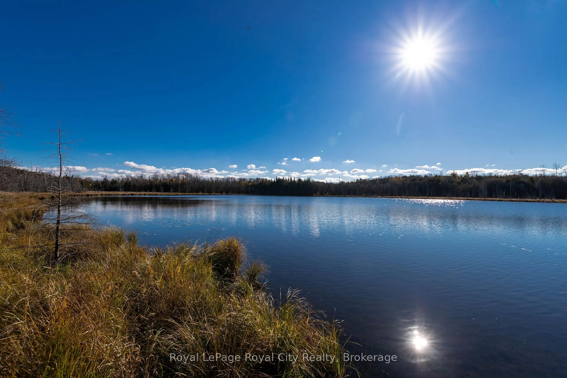Photo 17 of 6361 16th Line, Minto — HOMEH