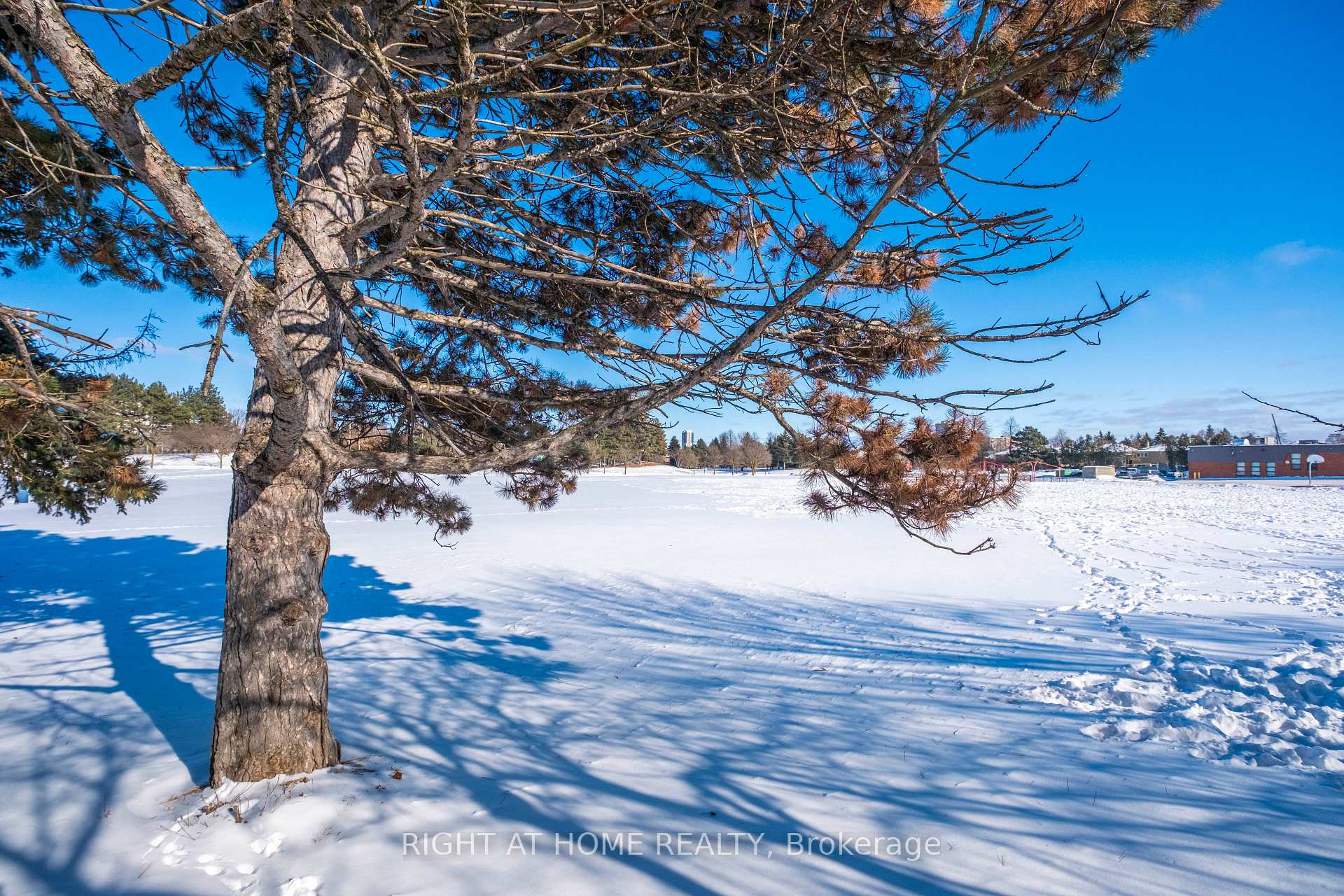 Photo 36 of 79 Lisa Crescent, Vaughan, Crestwood-Springfarm-Yorkhill — HOMEH