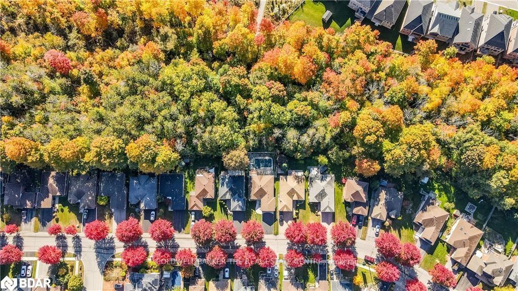 Photo 38 of 156 Columbia Road, Barrie, Holly — HOMEH