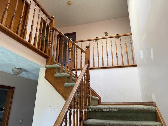 Photo 6 of 11 Trieste Place, Hamilton, Ryckmans — HOMEH