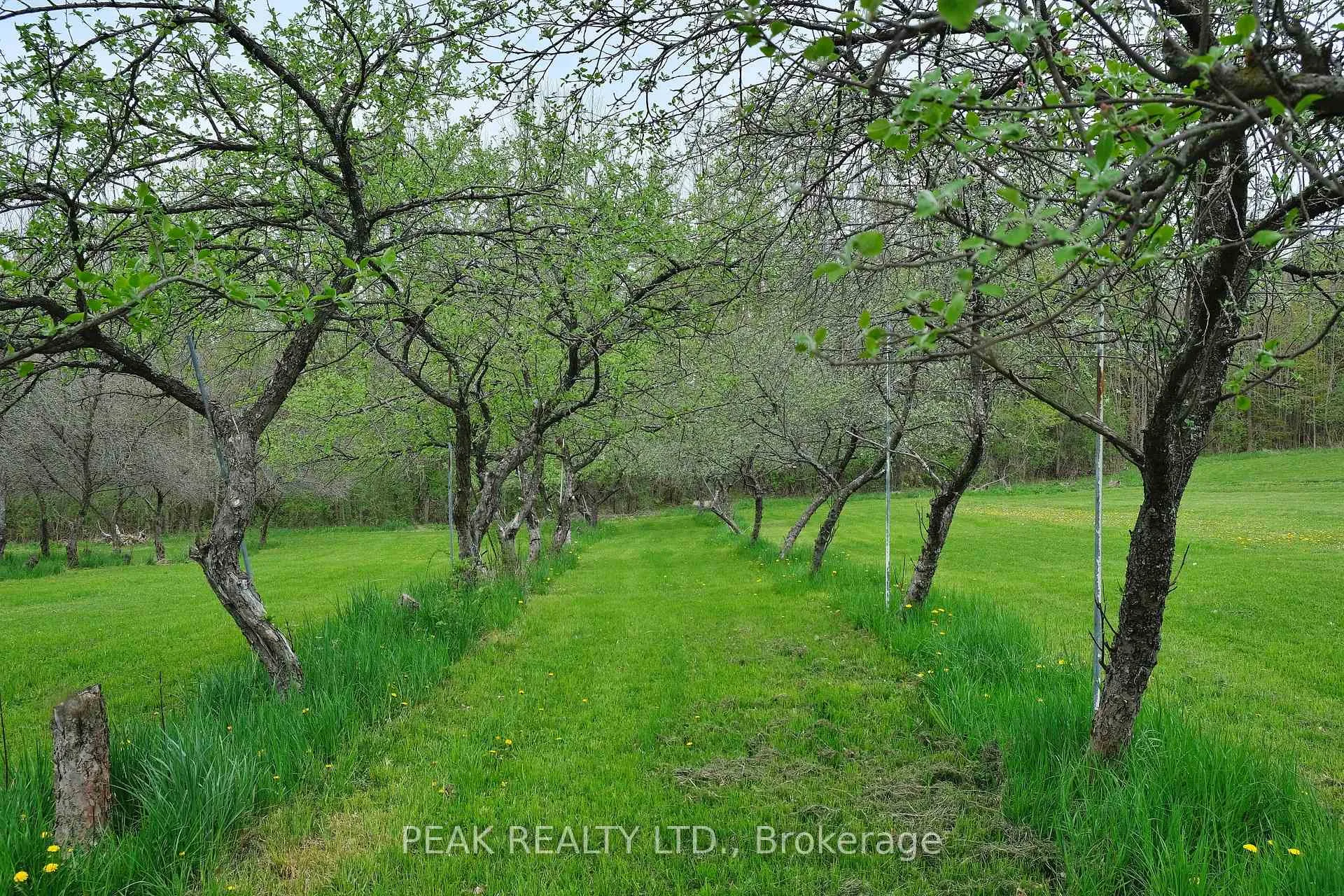 Photo 35 of 546299 Sideroad 4B Side Road, Grey Highlands — HOMEH