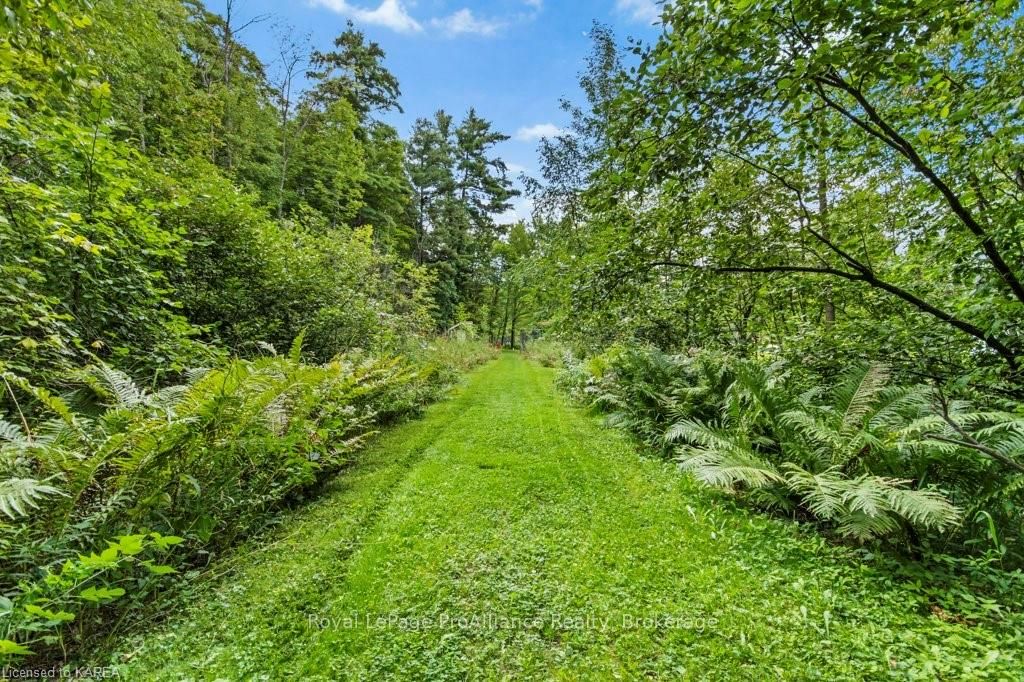 Photo 41 of 6397 Salmon Lake Road, Frontenac, Frontenac South — HOMEH