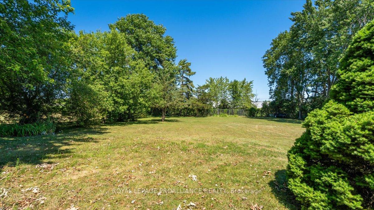 Photo 20 of 46 Tracey Street, Belleville, Belleville Ward — HOMEH