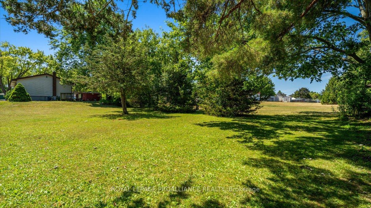 Photo 22 of 46 Tracey Street, Belleville, Belleville Ward — HOMEH