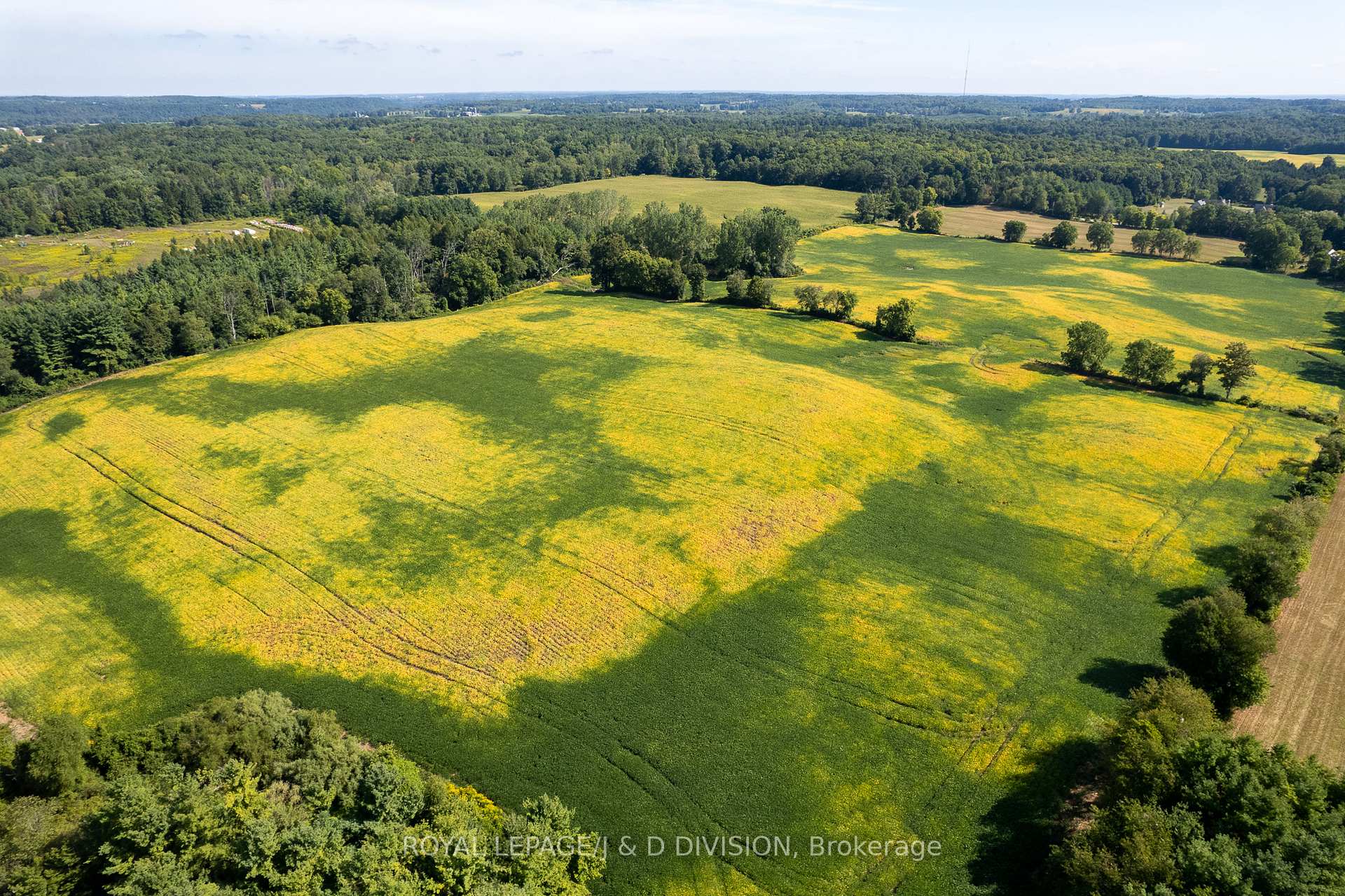 Photo 4 of 315 McPherson School Road, Brant, South Dumfries — HOMEH
