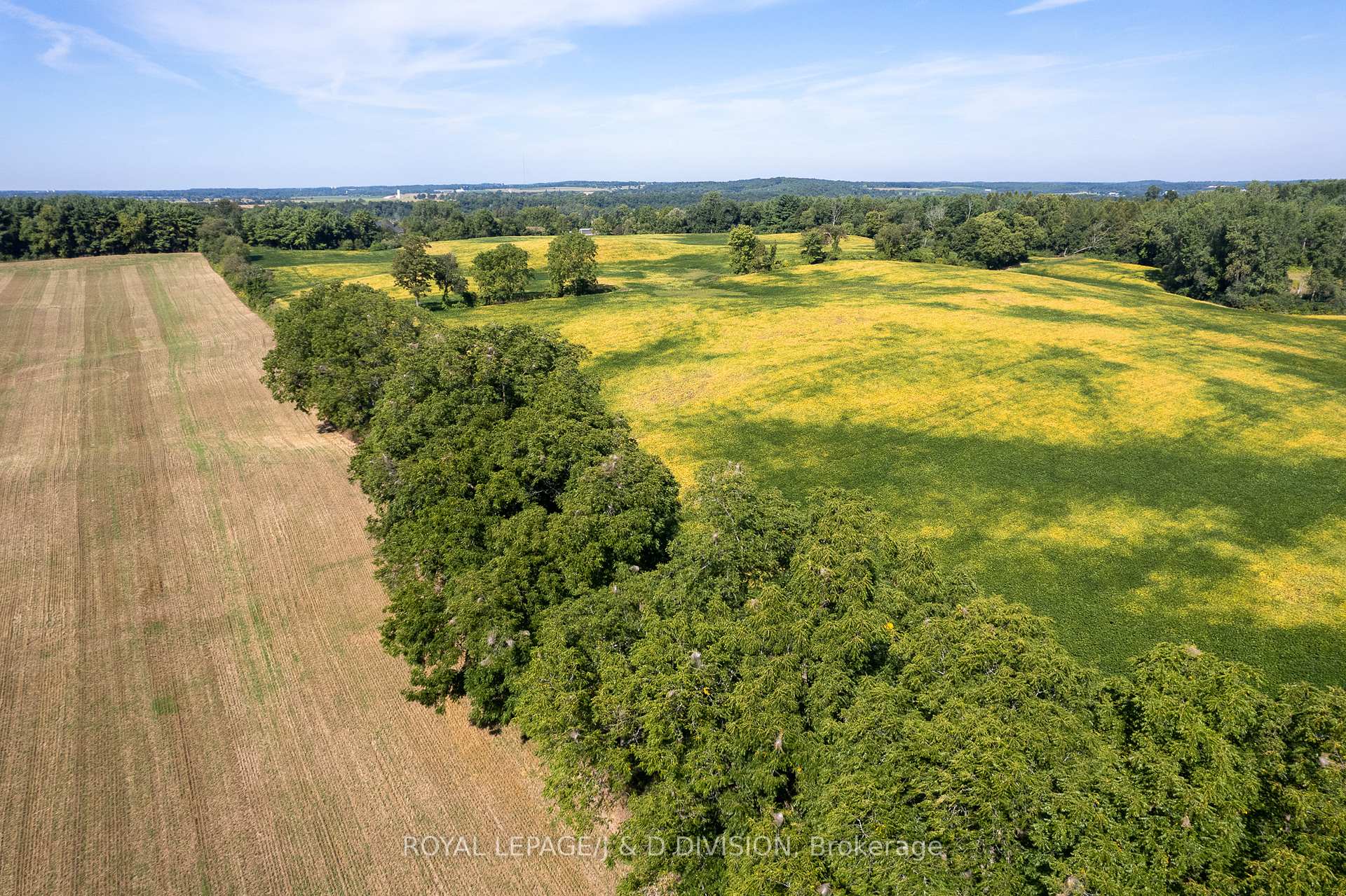 Photo 7 of 315 McPherson School Road, Brant, South Dumfries — HOMEH