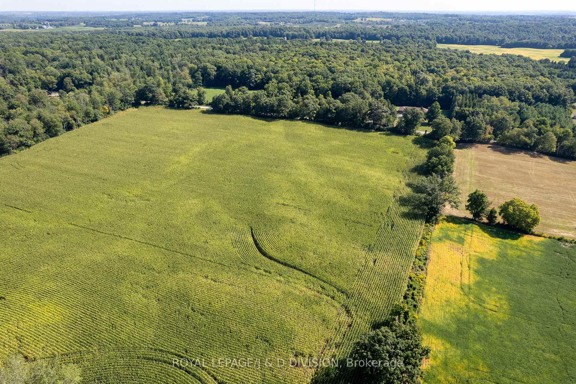 Photo 11 of 315 McPherson School Road, Brant, South Dumfries — HOMEH