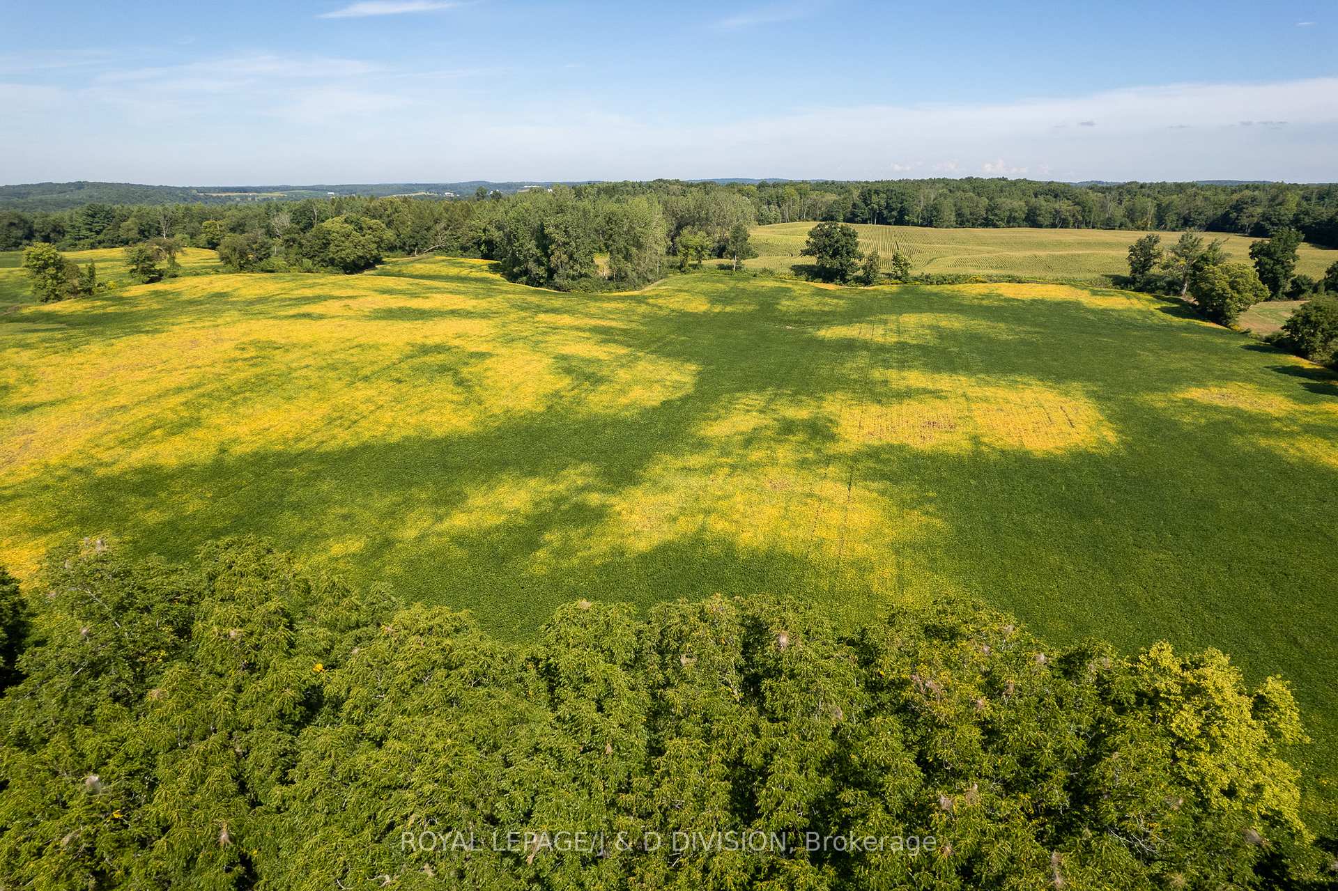 Photo 19 of 315 McPherson School Road, Brant, South Dumfries — HOMEH
