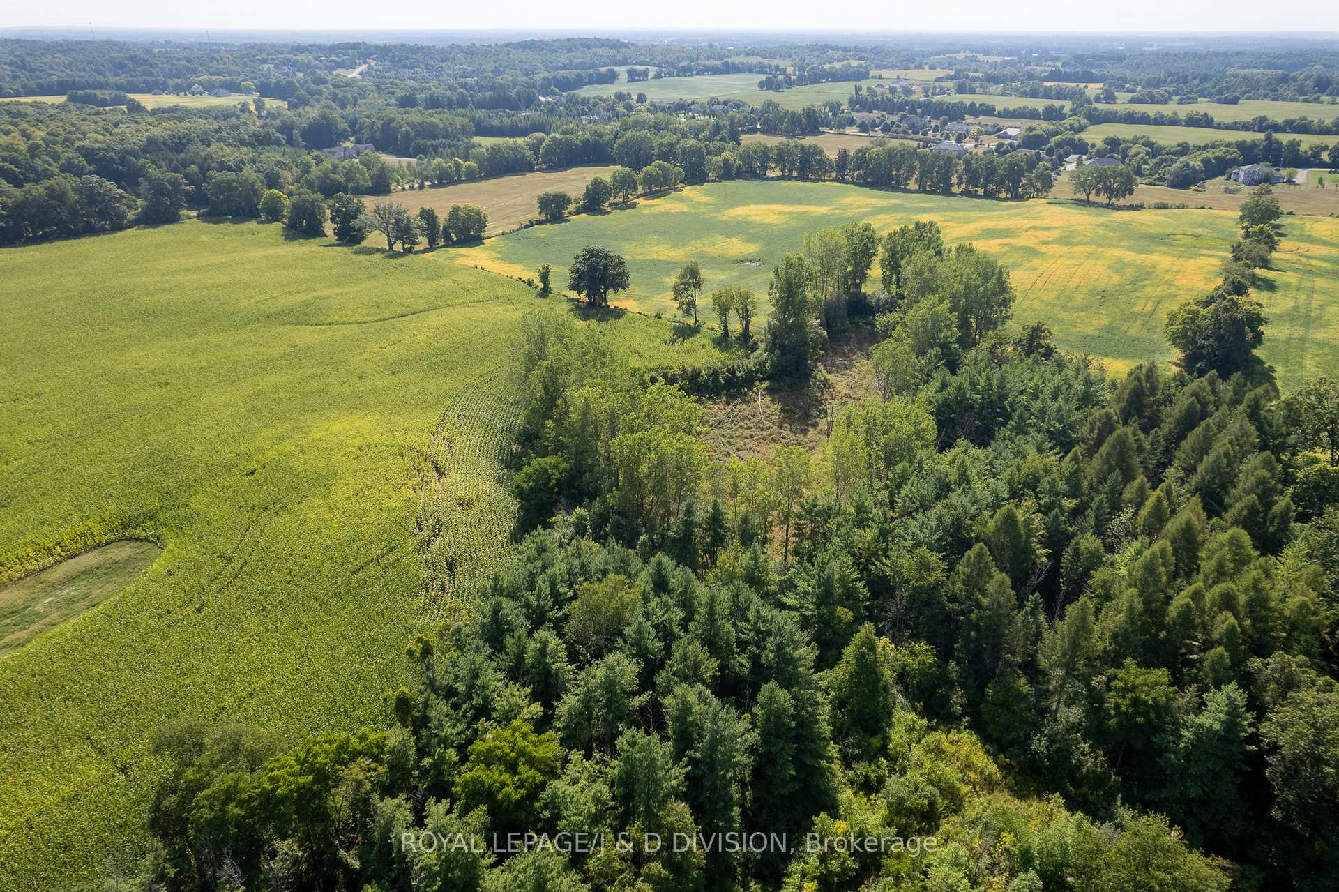 Photo 20 of 315 McPherson School Road, Brant, South Dumfries — HOMEH
