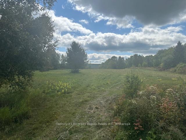 Photo 6 of 629 Wasing Road, Chisholm — HOMEH