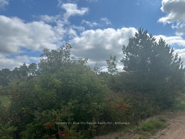 Photo 7 of 629 Wasing Road, Chisholm — HOMEH