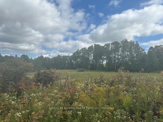 Photo 9 of 629 Wasing Road, Chisholm — HOMEH