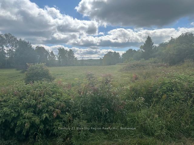 Photo 12 of 629 Wasing Road, Chisholm — HOMEH