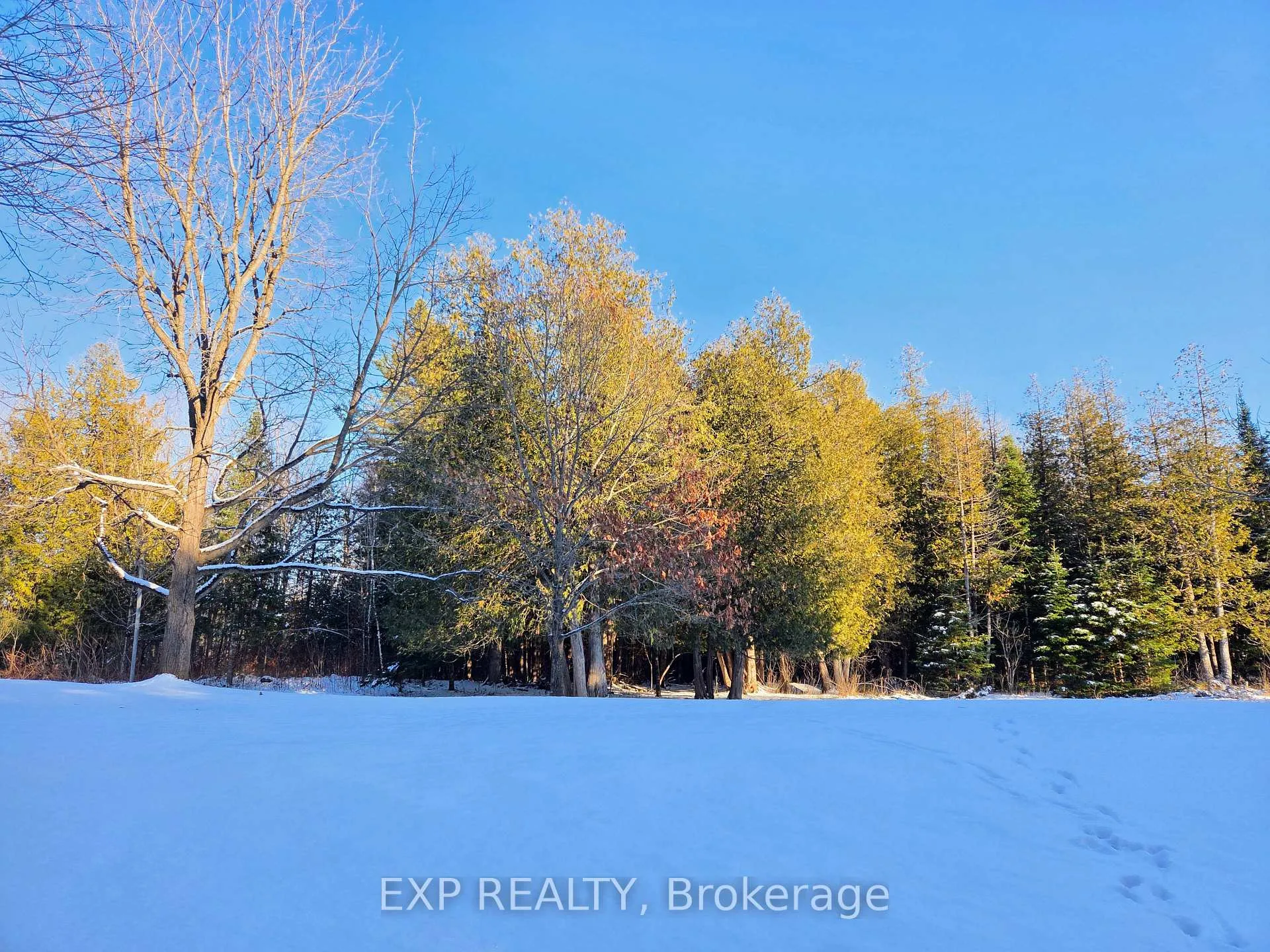 Photo 49 of 3554 Vaughan Side Road, Ottawa, Huntley Ward (North West) — HOMEH