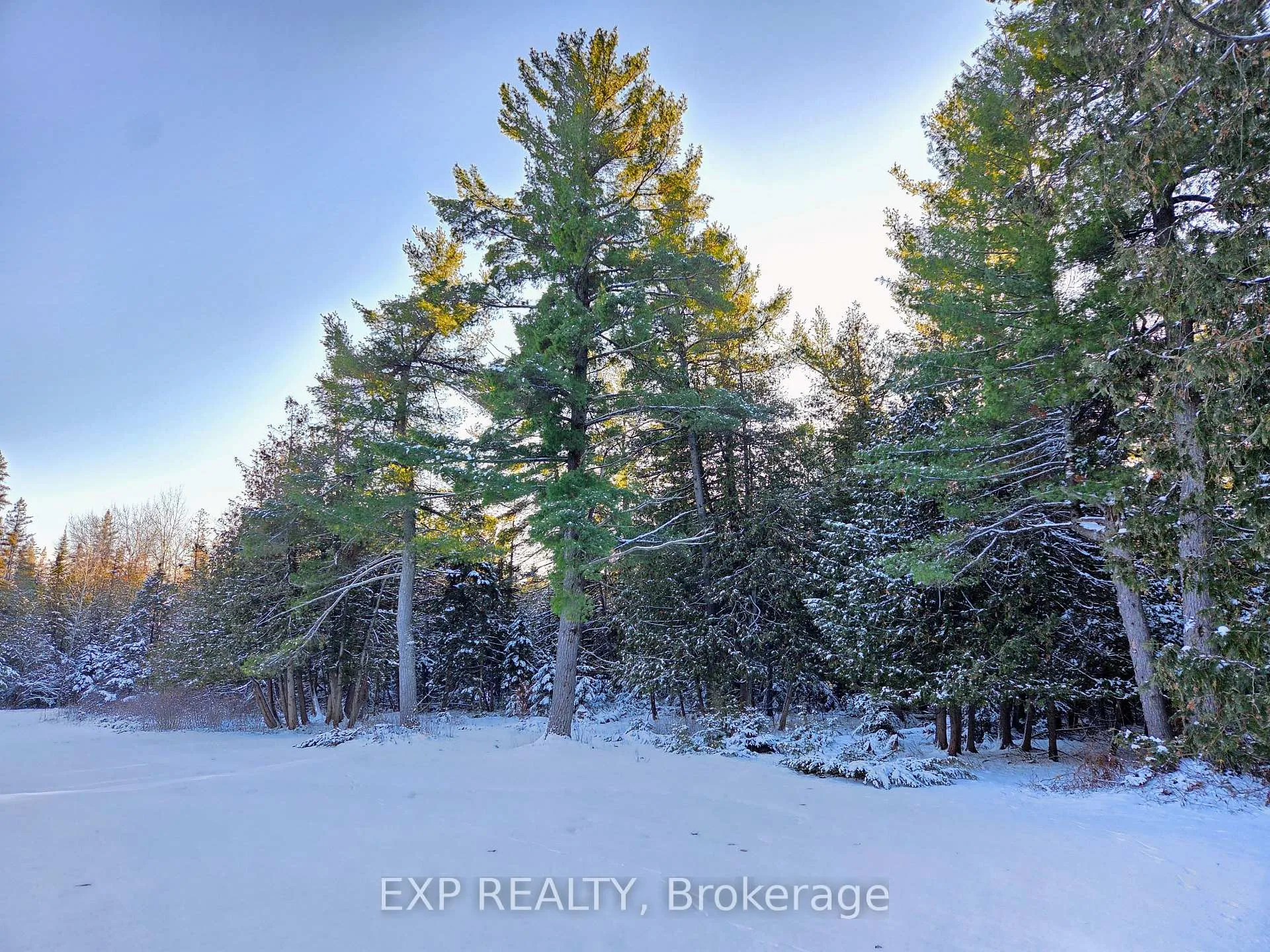 Photo 50 of 3554 Vaughan Side Road, Ottawa, Huntley Ward (North West) — HOMEH