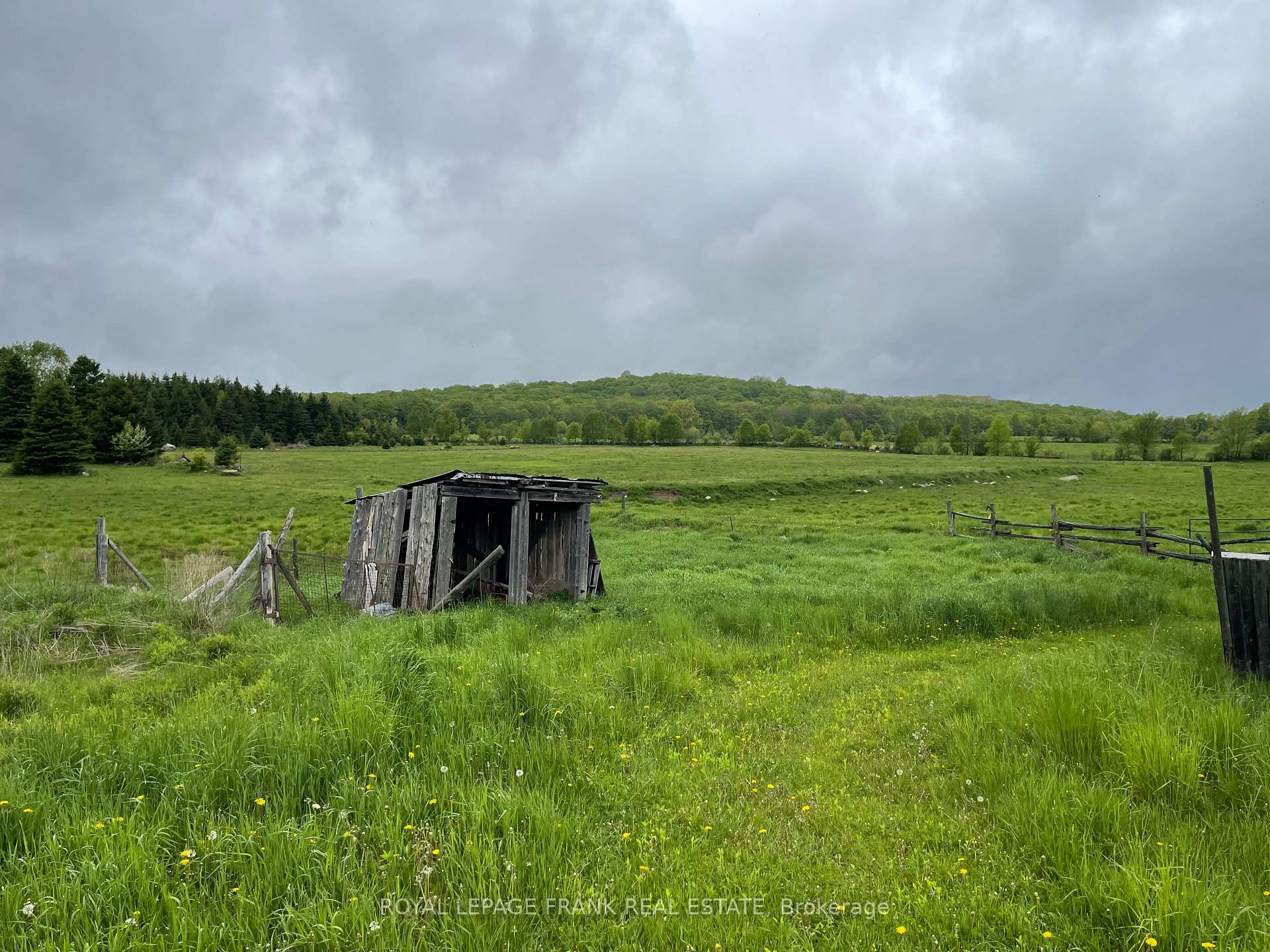 Photo 26 of 3940 Boulter Road, Carlow/Mayo, Carlow Ward — HOMEH