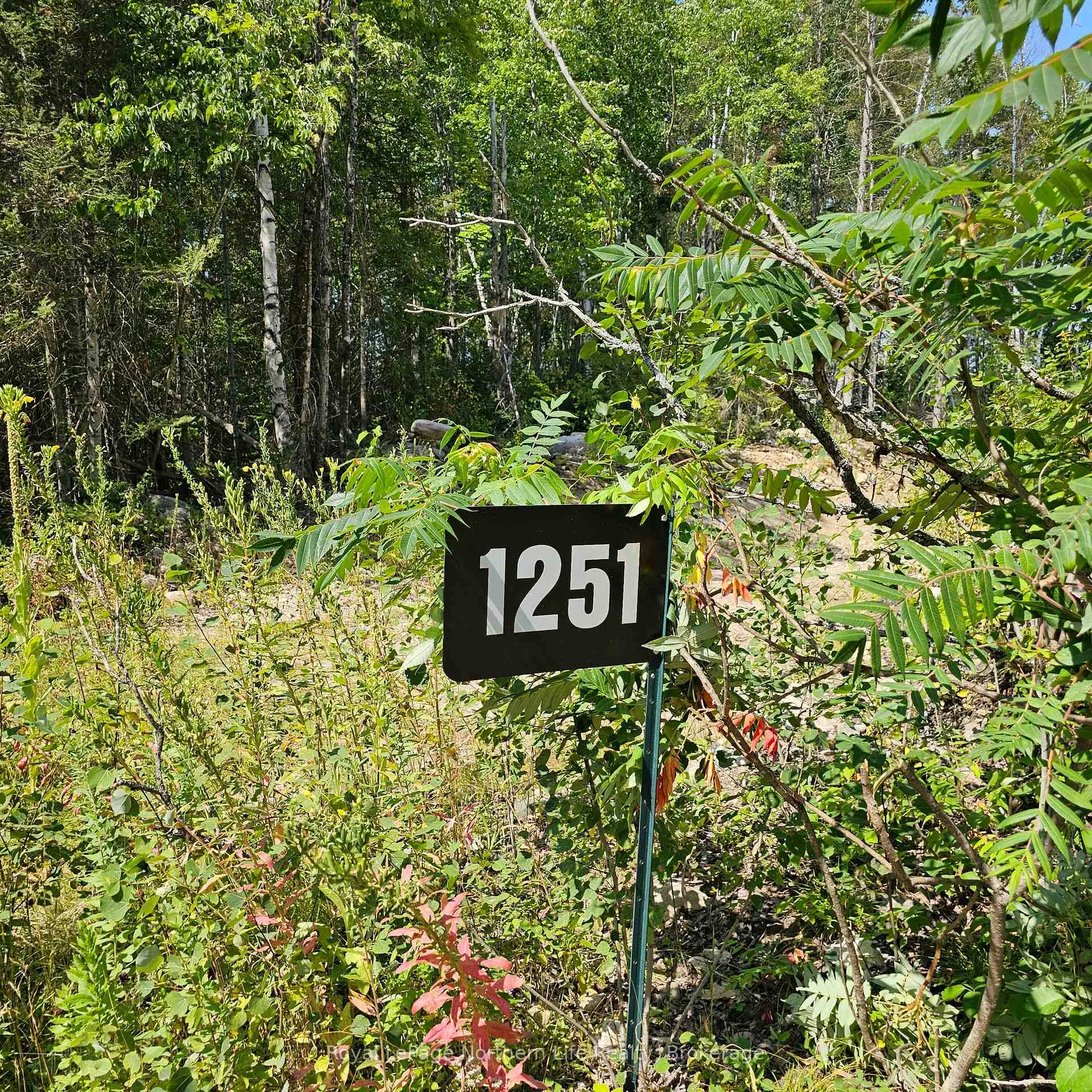 Photo of 1251 Snake Creek Road