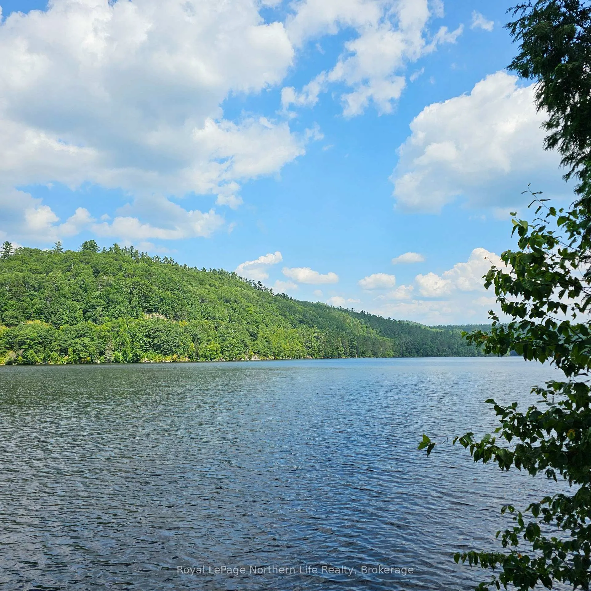 Photo 6 of 1251 Snake Creek Road, Mattawan — HOMEH