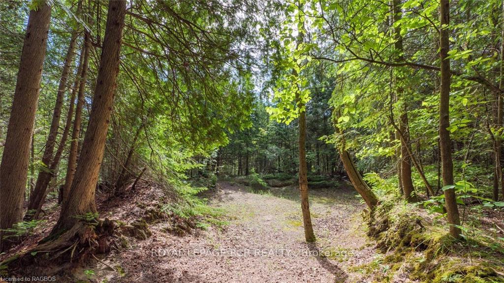 Photo 16 of 1133 2ND Avenue S, Native Leased Lands — HOMEH