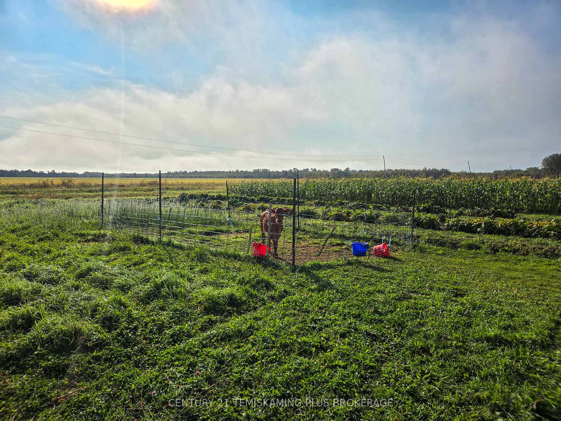 Photo 23 of 774038 Bear Road, Englehart, Central Timiskaming — HOMEH