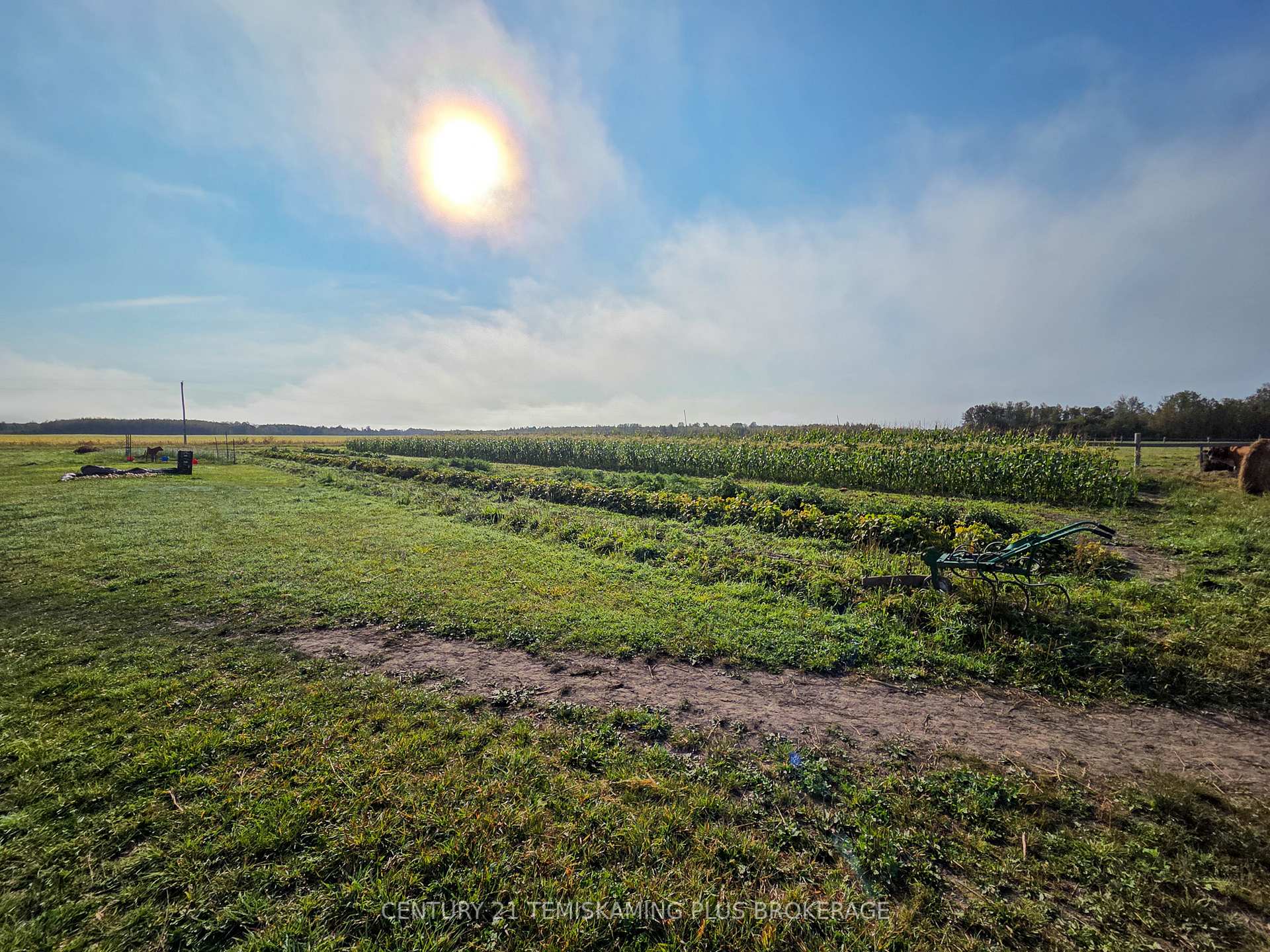 Photo 24 of 774038 Bear Road, Englehart, Central Timiskaming — HOMEH