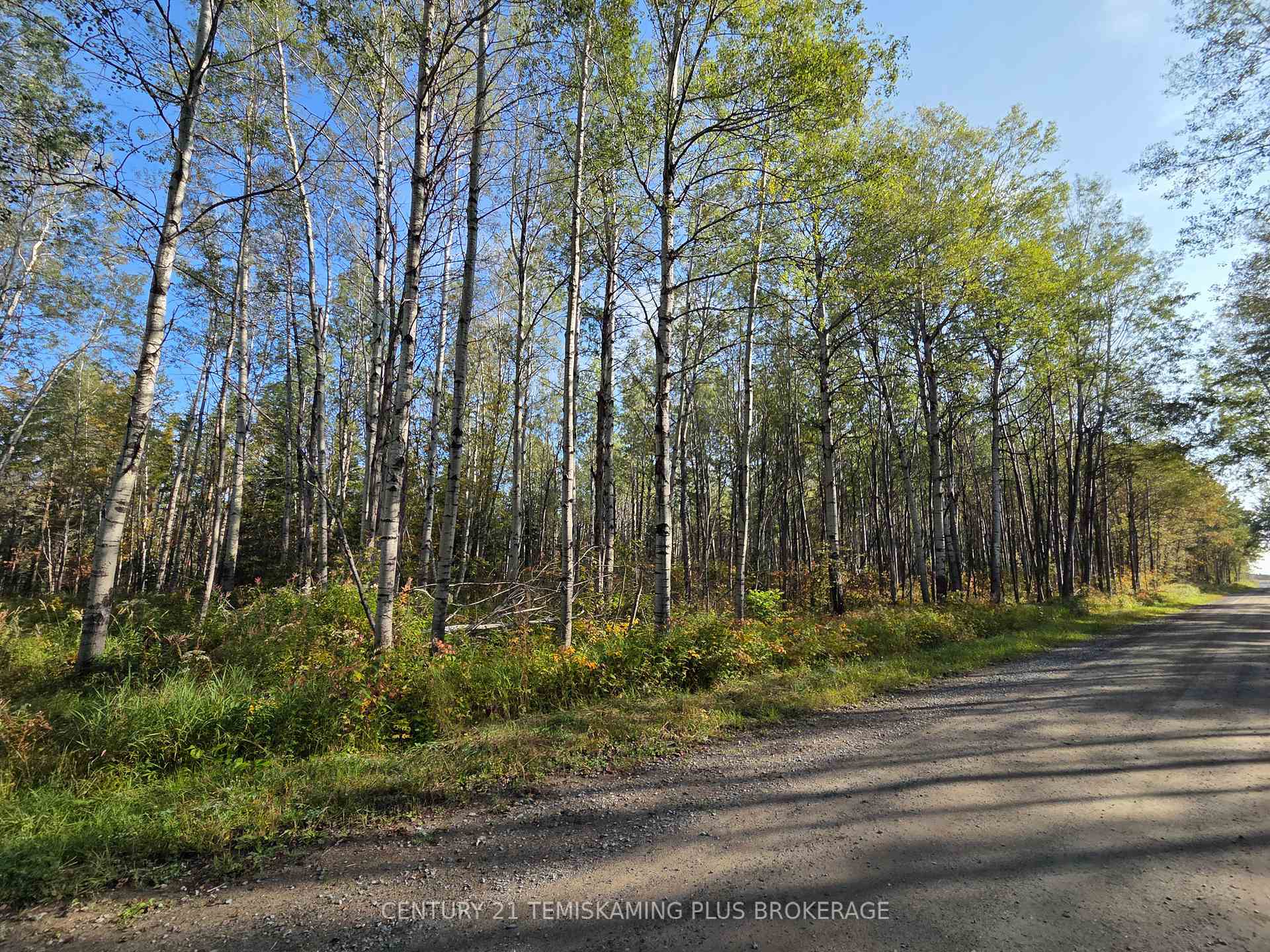 Photo 29 of 774038 Bear Road, Englehart, Central Timiskaming — HOMEH