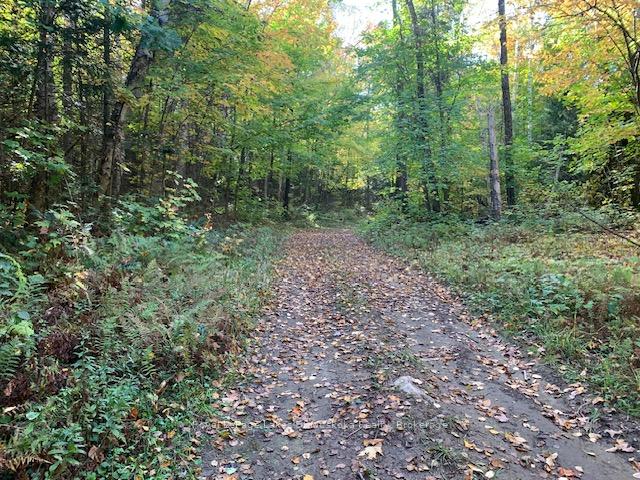Photo 1 of Sugar Bush Road E, Magnetawan — HOMEH