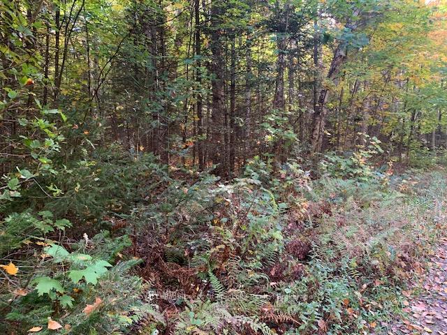 Photo 2 of Sugar Bush Road E, Magnetawan — HOMEH