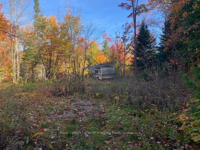 Photo 9 of Sugar Bush Road E, Magnetawan — HOMEH