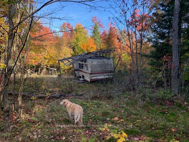 Photo 11 of Sugar Bush Road E, Magnetawan — HOMEH