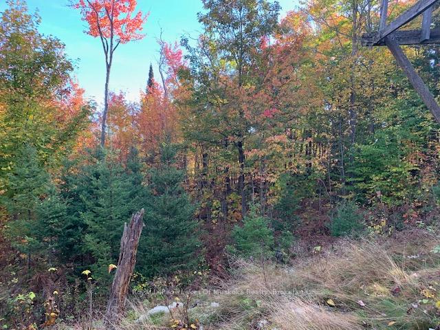 Photo 12 of Sugar Bush Road E, Magnetawan — HOMEH