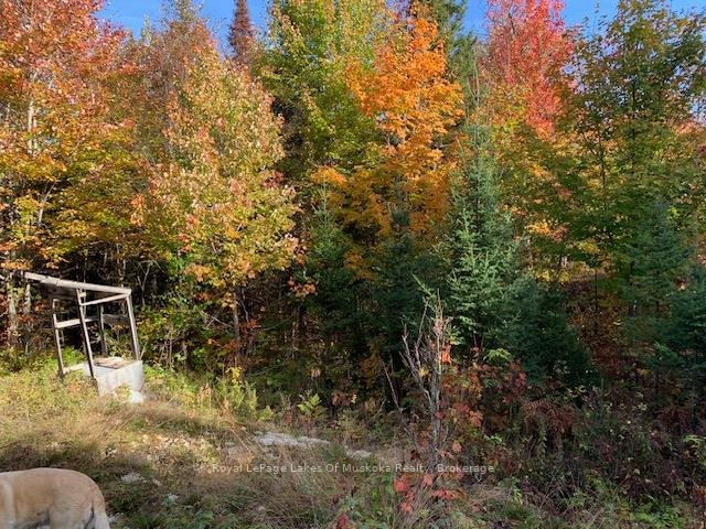 Photo 13 of Sugar Bush Road E, Magnetawan — HOMEH
